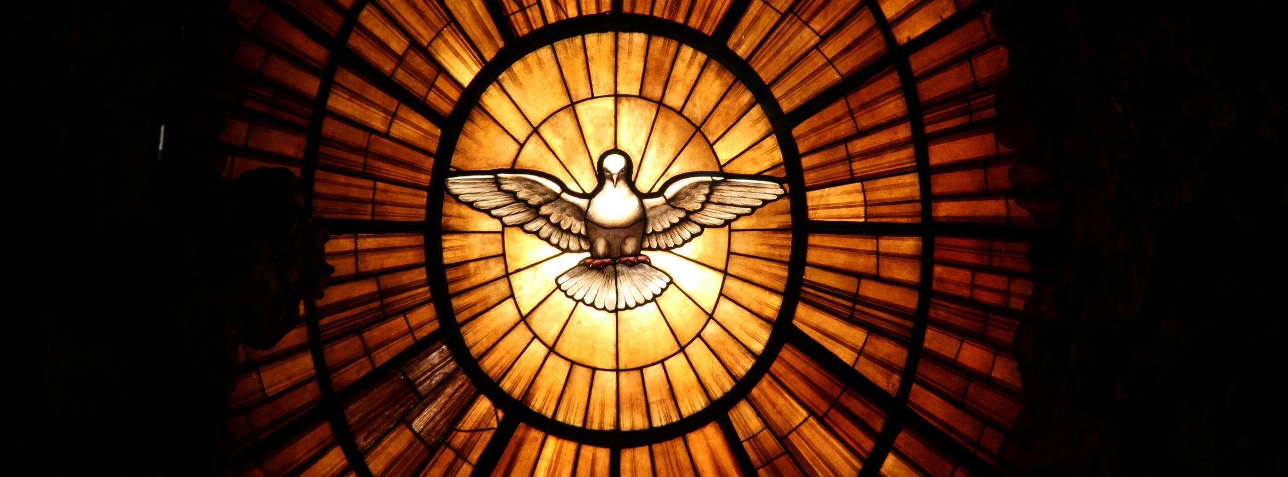 Dove representing the Spirit